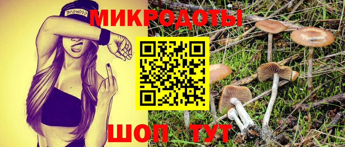 Псилоцибиновые грибы прущие грибы Первоуральск